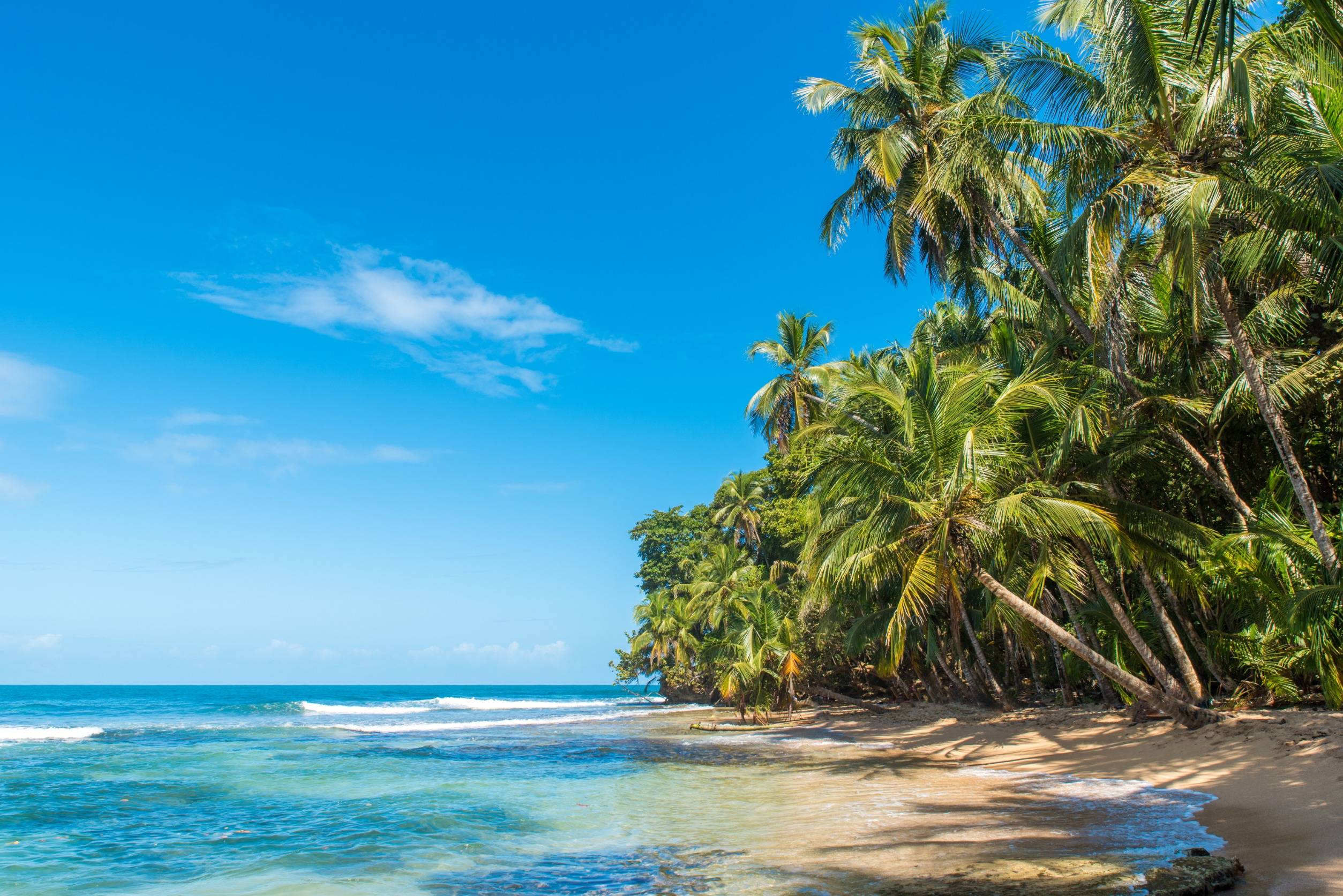 6 Best Things to do in Puerto Viejo, Costa Rica
